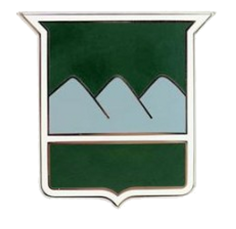 80th Training Command Combat Service Identification Badge (CSIB)