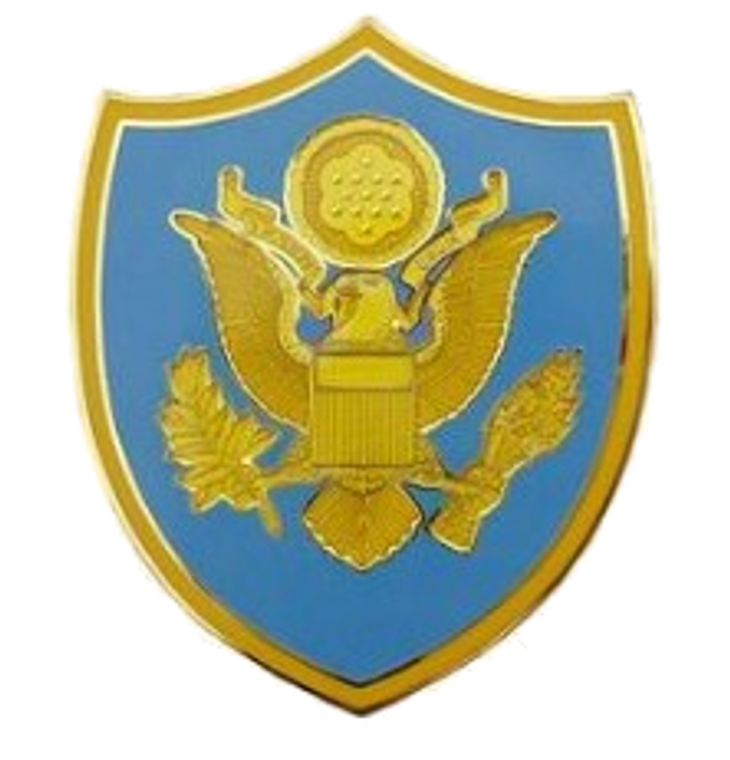 Personnel Assigned to DOD and Joint Activities Combat Service Identification Badge (CSIB)