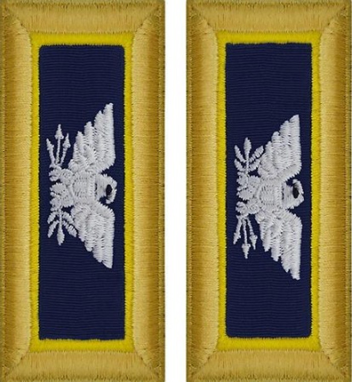 Army Colonel Shoulder Board- Chemical