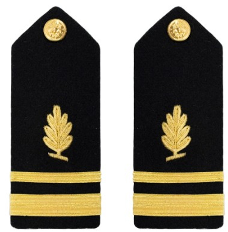 Navy Lieutenant Junior Grade Hard Shoulder Board- Medical Service