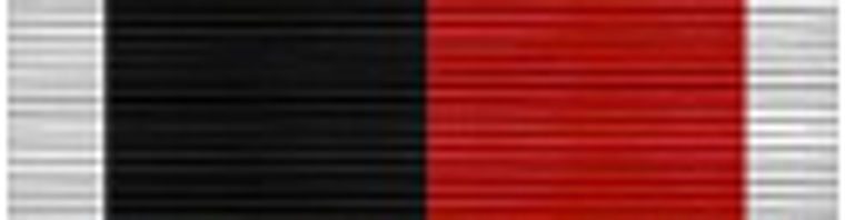 Army & Air Force WWII Occupation Ribbon