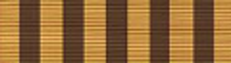 PHS Outstanding Unit Citation Ribbon