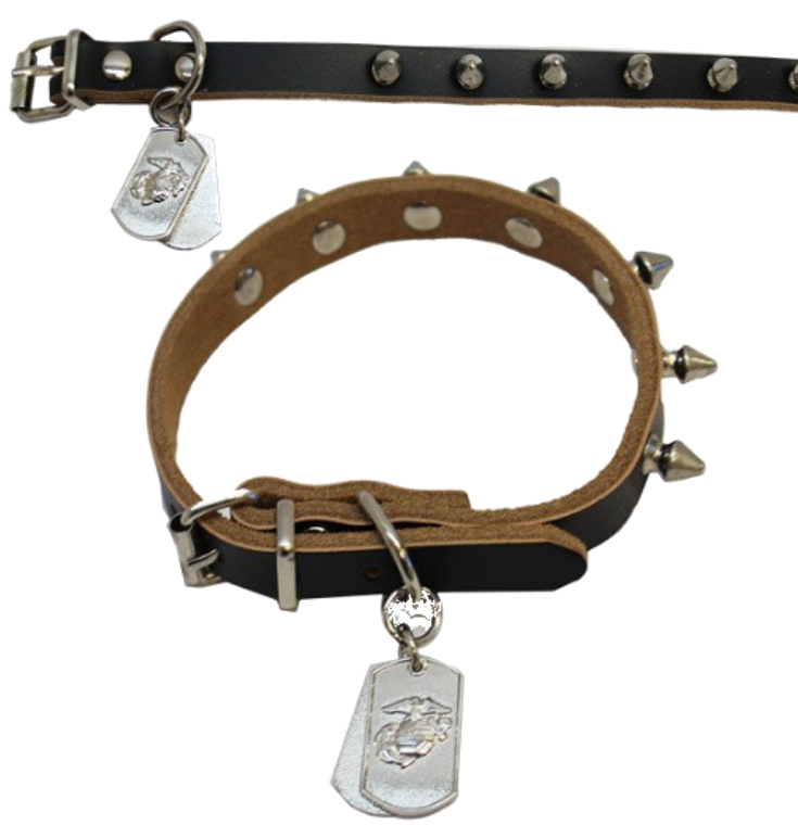 Pet Insignia- Small Spiked Leather Collar w/ Eagle, Anchor and Globe