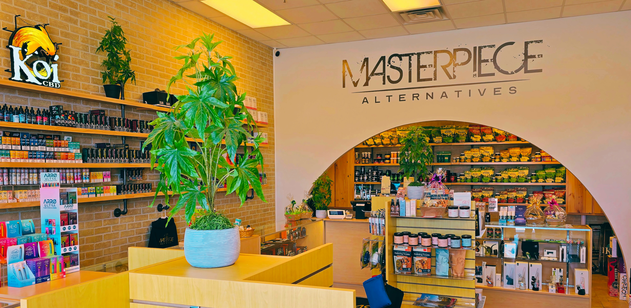 Masterpiece Alternatives Detroit Lakes - Alternative Wellness Store Interior
