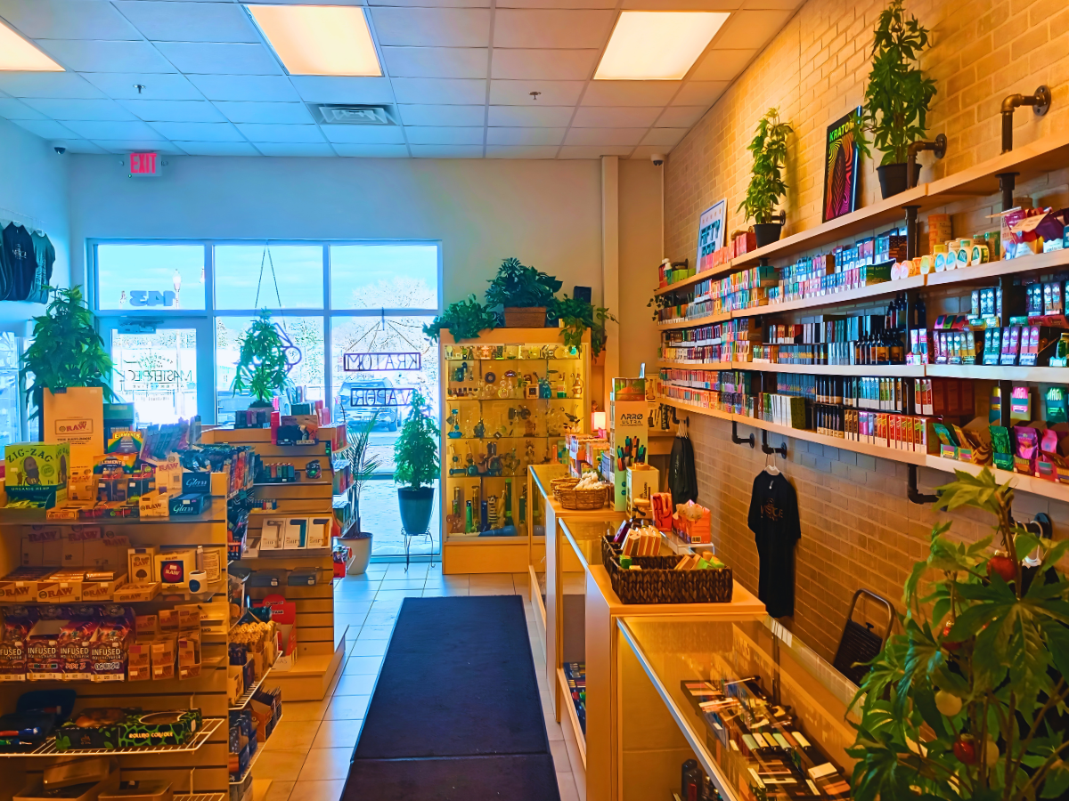 Inside Masterpiece Alternatives Detroit Lakes MN — store interior