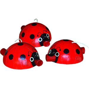 Everyone wants to light off a Ladybug! These unique fliers spin and shoot up with red and green lights, ending in a shower of silver flowers. Comes without the cardboard packaging - less waste, less cost!

Dimensions 3.6 L × 3.6 W × 1.6 H
