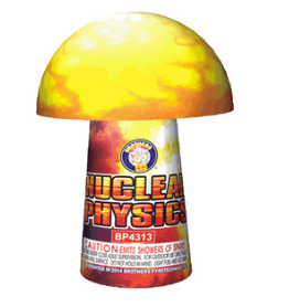 Nuclear Physics