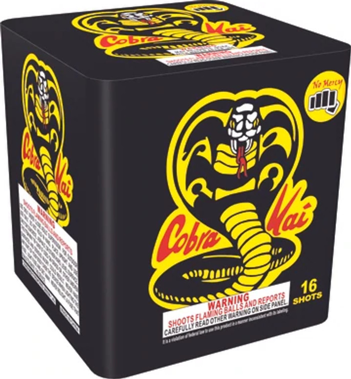 Cobra Kai 18/1