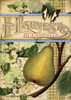 Harvest Blessings - Thanksgiving Cards