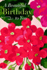 Dayspring greeting cards