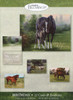 birthday cards with horses