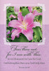 religious sympathy cards