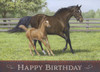 Birthday cards for horse lovers
