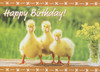 Christian Children's Birthday Cards