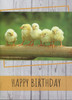 Kids Birthday Cards