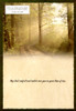 Boxed Sympathy Cards