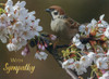 Christian Condolence Cards