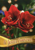 Boxed Christian Christmas Cards