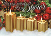 Warner Press Christmas Cards
