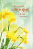 Easter Greeting Cards