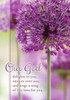 Encouragement Christian Cards