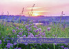 condolence cards