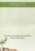 Holiday Greeting Cards