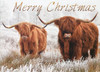 Christmas Cards