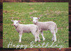 Kids Birthday Cards