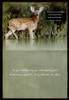 Deer birthday cards for men