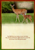 Deer birthday cards for men