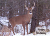 Deer birthday cards for men