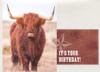 Highlander Birthday Cards