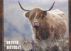 Highlander Birthday Cards