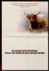 Highlander Birthday Cards