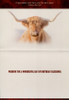 Highlander Birthday Cards