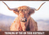 Highlander Birthday Cards