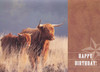 Highlander Birthday Cards