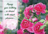 Feminine Birthday Cards