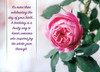 Roses Birthday Cards