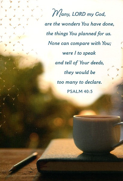 Dayspring Boxed Greeting Cards