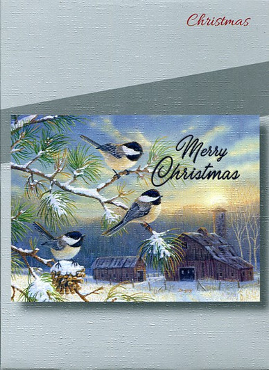 Christian Boxed Christmas Cards
