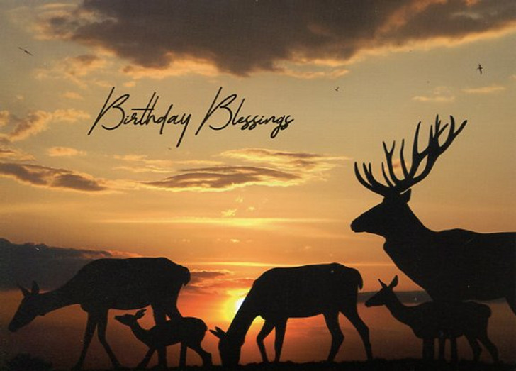 masculine wildlife birthday cards