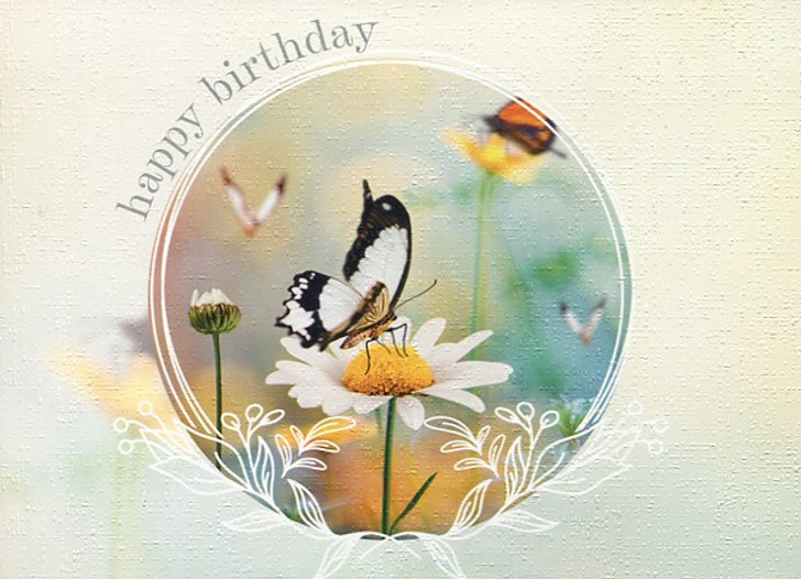 boxed greeting cards - birthday