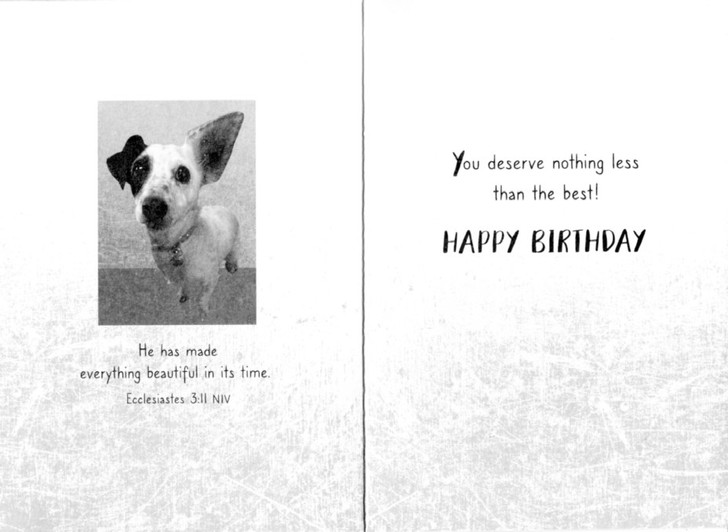 Animal greeting cards : dog birthday