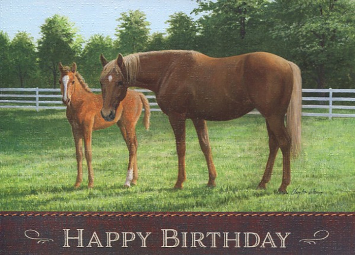 Birthday cards for horse lovers