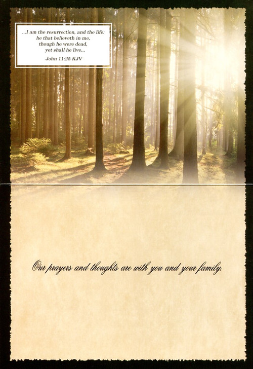 Boxed Sympathy Cards