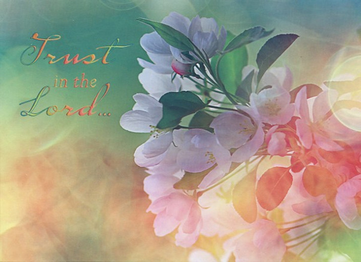 Boxed Encouragement Cards
