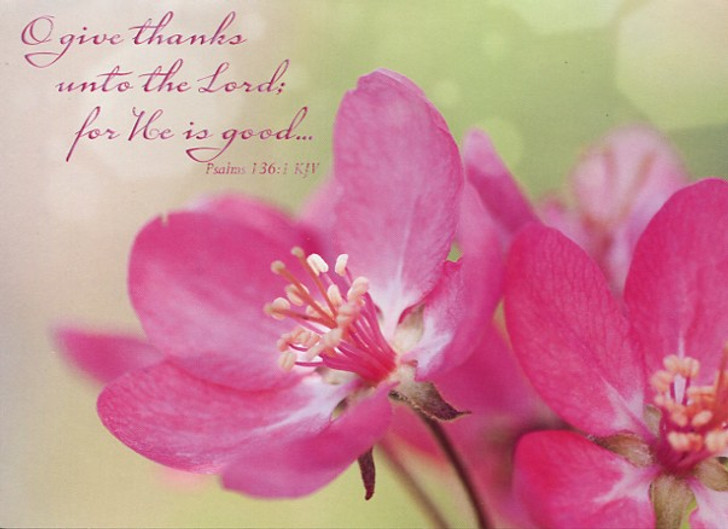 Boxed Encouragement Cards