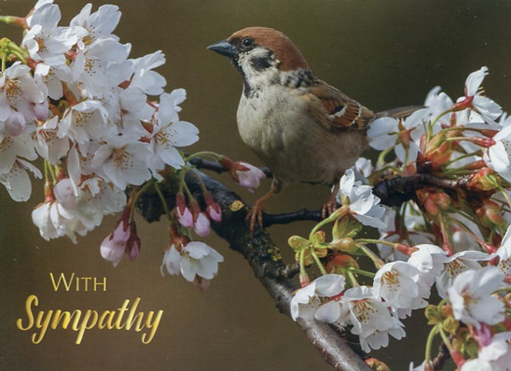 Christian Condolence Cards